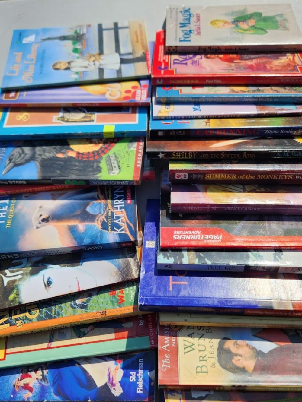 4 Book Bundle Lot Set Chapter Books Young Adult Literature Novels Mystery Books - Picture 10 of 16